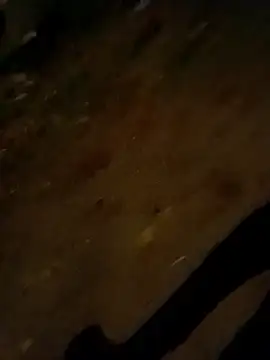 jvdzj-0  online show from 10.28.25