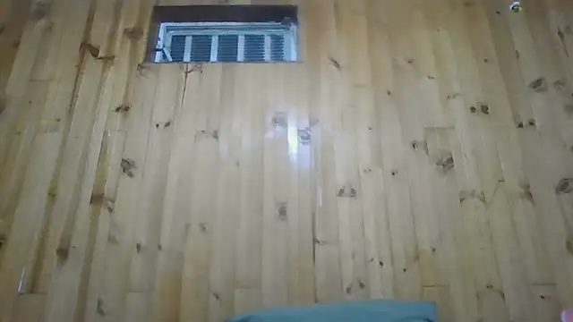 Roselingalvis13 online show from 12.03.25