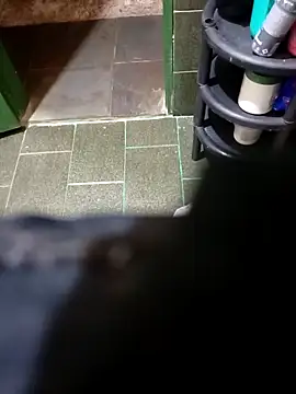 Snapshot of Alex_Docinho chatting on 11.26.25 Alex Docinho online show from 11.26.25