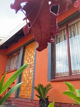 Snapshot of BaggyDirt chatting on 02.24.26 BaggyDirt online show from 02.24.26