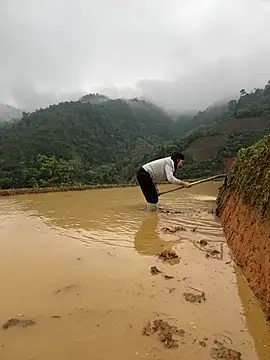 ThiHa003 online show from 04.02.26