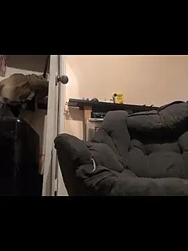 Cnutt310 online show from 12.14.25