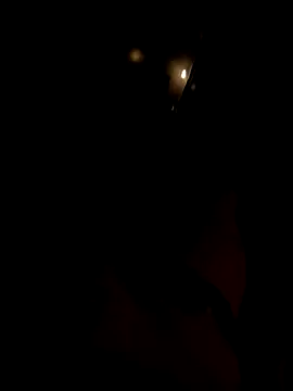 dutch girl lover online show from 10.05.25