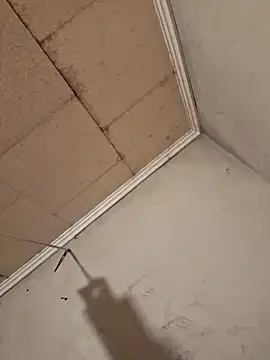 Tudiablita21 online show from 04.06.26