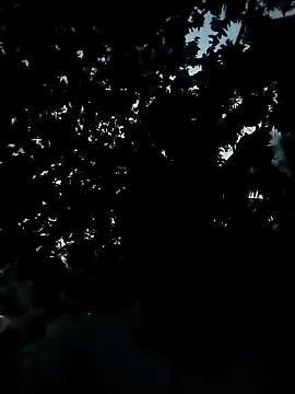 Snapshot of Girls_pussy_rider chatting on 11.24.25 Girls pussy rider online show from 11.24.25