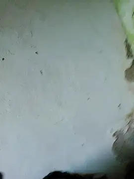 perversa068 online show from 02.04.26