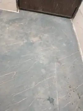 Wet BunnyFun online show from 04.13.26