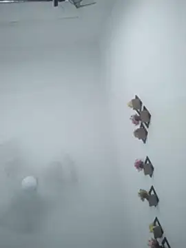 Wet BunnyFun online show from 05.19.26