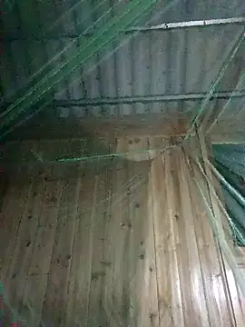 Mptrangp online show from 04.15.26