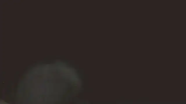 pietje1991 online show from 05.16.26