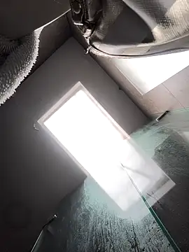 Cami Konor online show from 01.07.26