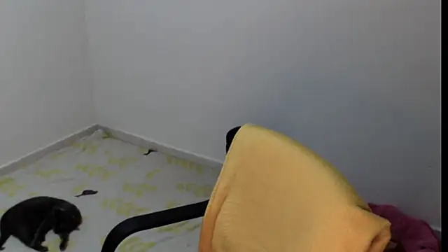 meganmiauu online show from 05.11.26
