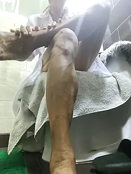 MaryeLunna online show from 10.21.25