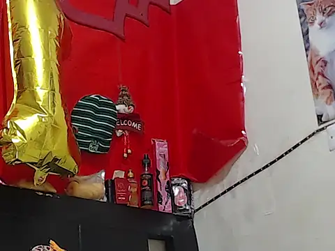 Npga96 online show from 03.07.26