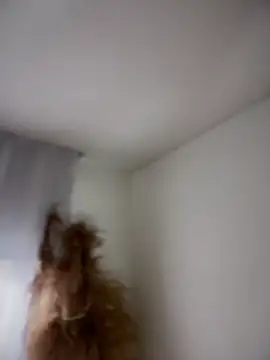 Sofi Leal online show from 03.05.26