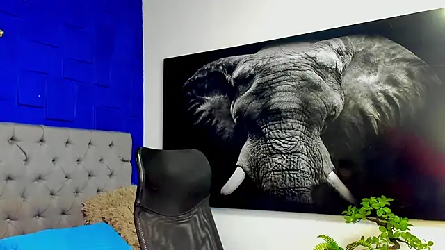 andres-clark92 online show from 03.02.26