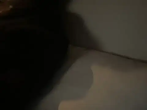 Snapshot of dddasani chatting on 12.15.25 dddasani online show from 12.15.25