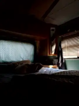 ShawnandDani7074 online show from 12.20.25