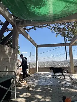 Shankortiz online show from 04.06.26