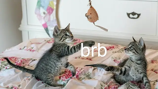 Pink girl0n online show from 03.18.26