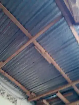 azomedo online show from 04.15.26