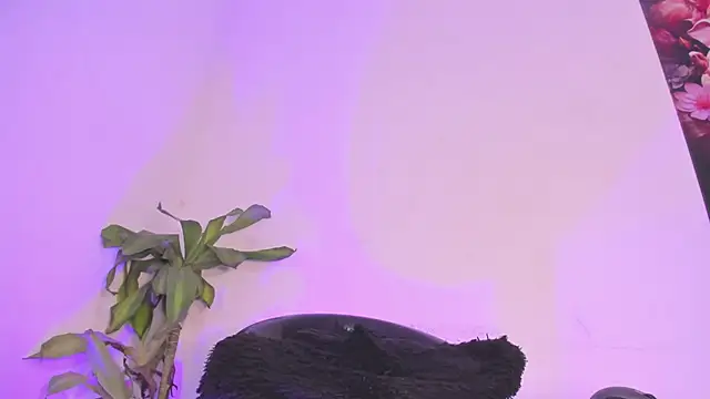 Lucy shen  online show from 01.10.26