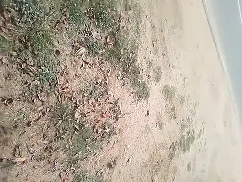 Snapshot of SAManthapathmasri chatting on 11.17.25 SAManthapathmasri online show from 11.17.25