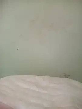 mytran16xh online show from 04.20.26