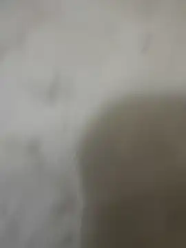 zackria online show from 12.23.25