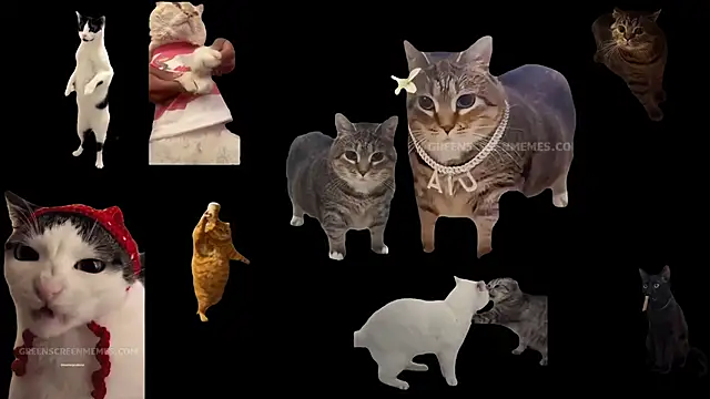 ch0wn m online show from 10.24.25