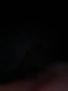 limond20 online show from 02.08.26