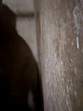 Lujor online show from 03.31.26