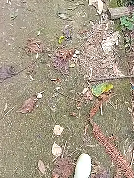 Phuongphuongg online show from 10.27.25