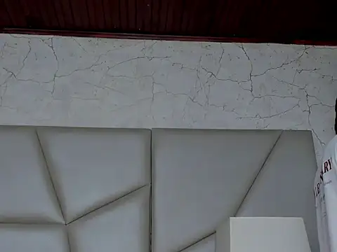 Snapshot of stefan-dax chatting on 11.13.25 stefan-dax online show from 11.13.25