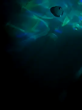 tyrek5051 online show from 10.31.25