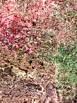 sonotutto online show from 10.15.25