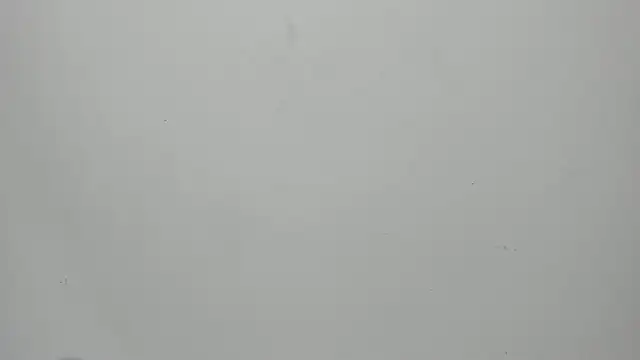 invincible200 online show from 09.15.25