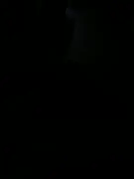 Snapshot of Reeelo chatting on 11.07.25 Reeelo online show from 11.07.25