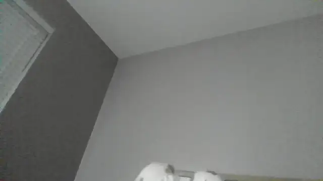 Snapshot of SexyKatiex chatting on 12.02.25 SexyKatiex online show from 12.02.25