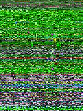 Emaline Fane online show from 12.19.25