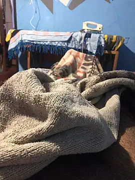 m11a2f3a4z5 online show from 03.22.26