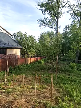 Alekseycv11 online show from 05.25.26