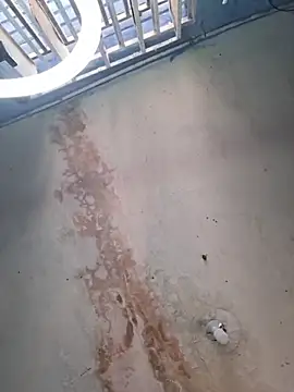 camila rogue online show from 11.28.25