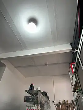 Terra-22cm online show from 03.01.26