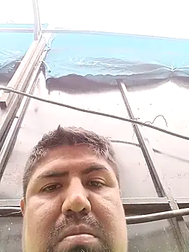 Pamaferto online show from 03.31.26