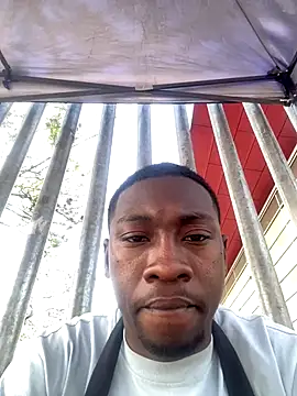 fore-17 online show from 12.05.25