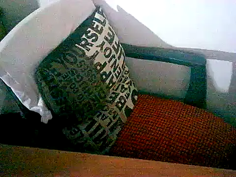 sacptjock83 online show from 12.17.25