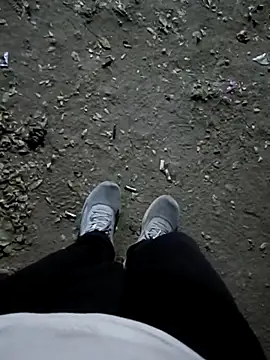 indian pavi online show from 02.08.26