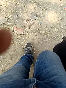 indian pavi online show from 03.02.26