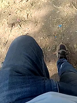 indian pavi online show from 03.03.26